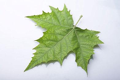 《DayZ》寒冬群岛DLC“Frostline”发布 更新已同步推出